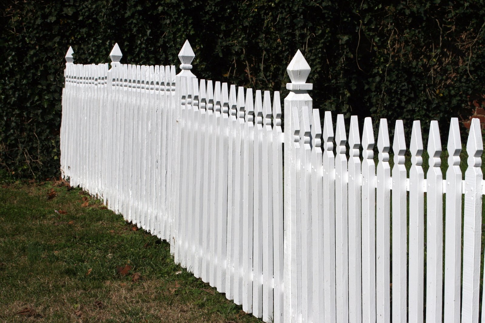 Choosing a fence for your Tucson yard